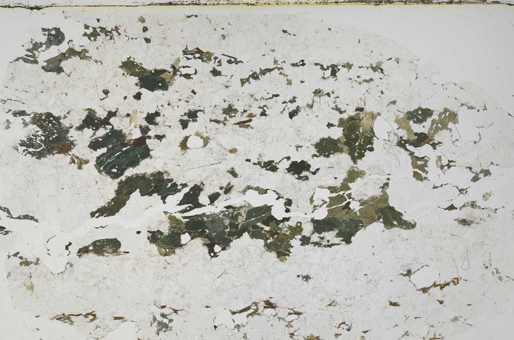 Plane Polarized, S57103