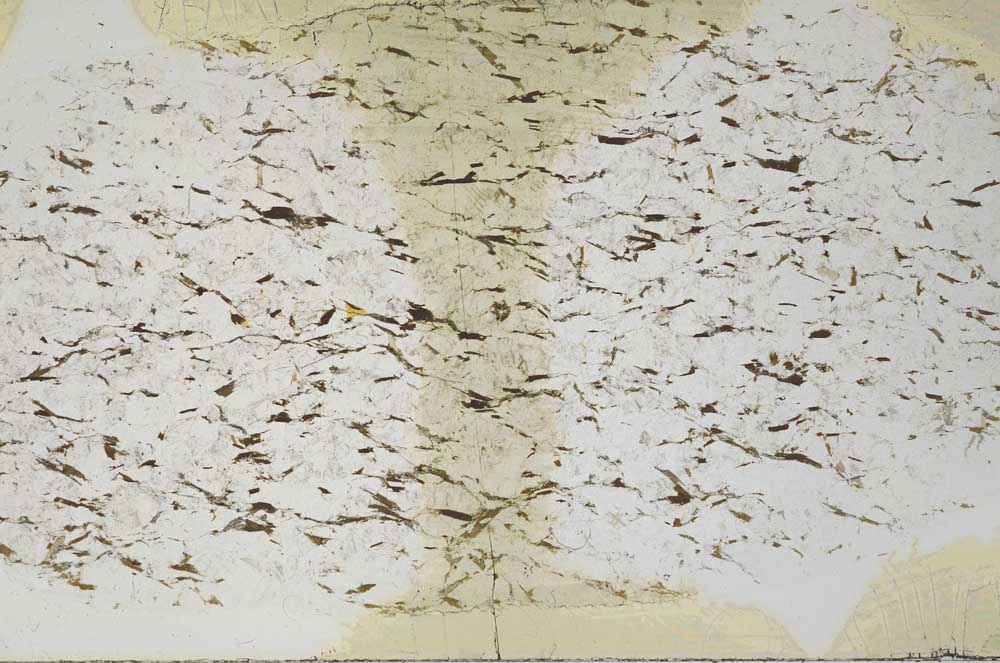 Plane Polarized, S57106