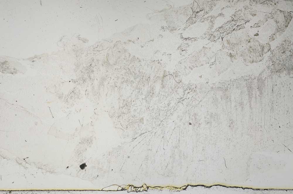 Plane Polarized, S57120