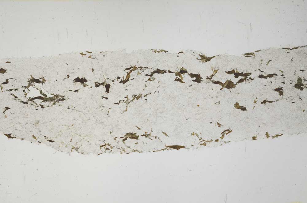 Plane Polarized, S57130