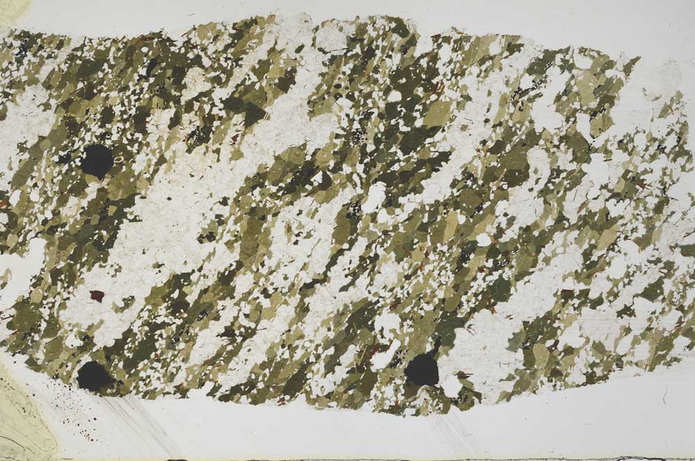 Plane Polarized, S57133