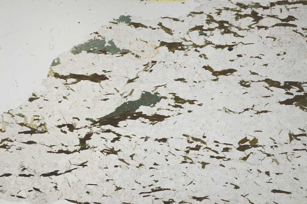 Plane Polarized, S57143