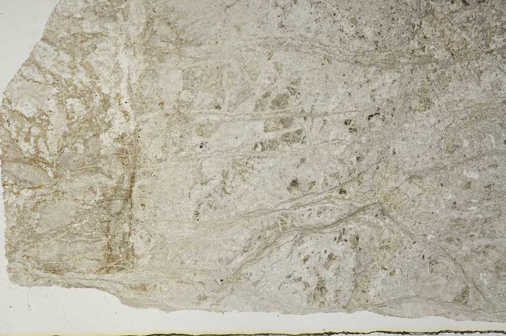 Plane Polarized, S57201