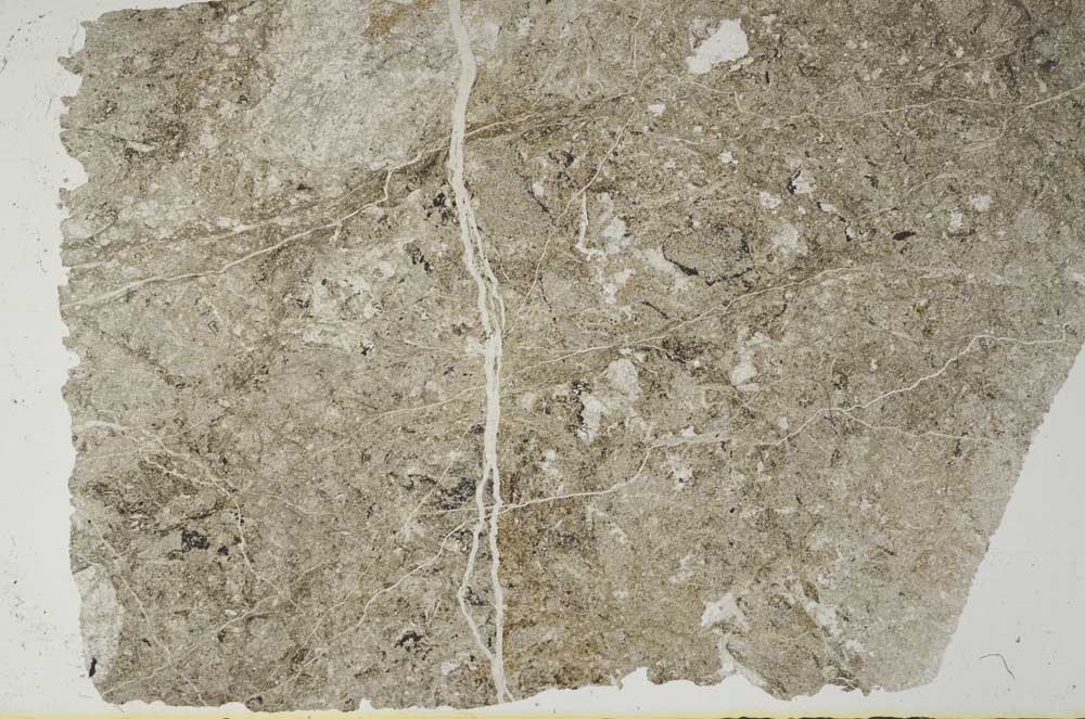 Plane Polarized, S57205