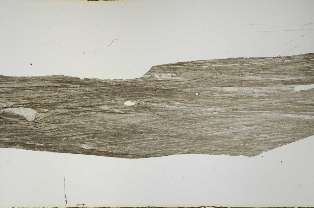 Plane Polarized, S57208