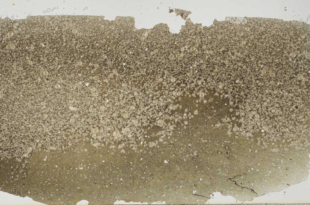 Plane Polarized, S57386/A