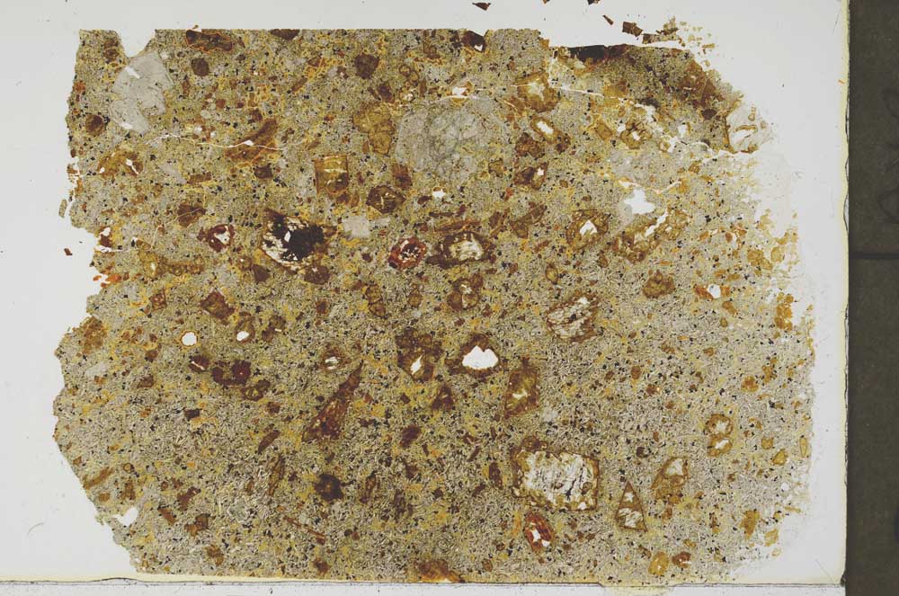 Plane Polarized, S57398