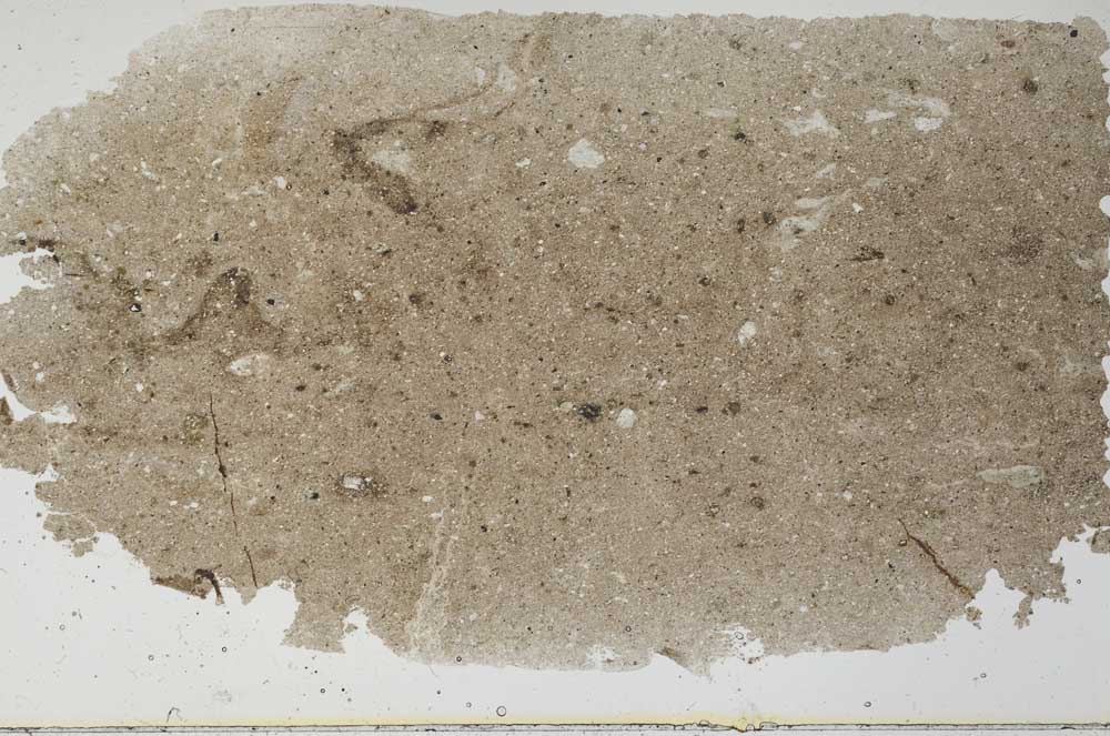 Plane Polarized, S57399