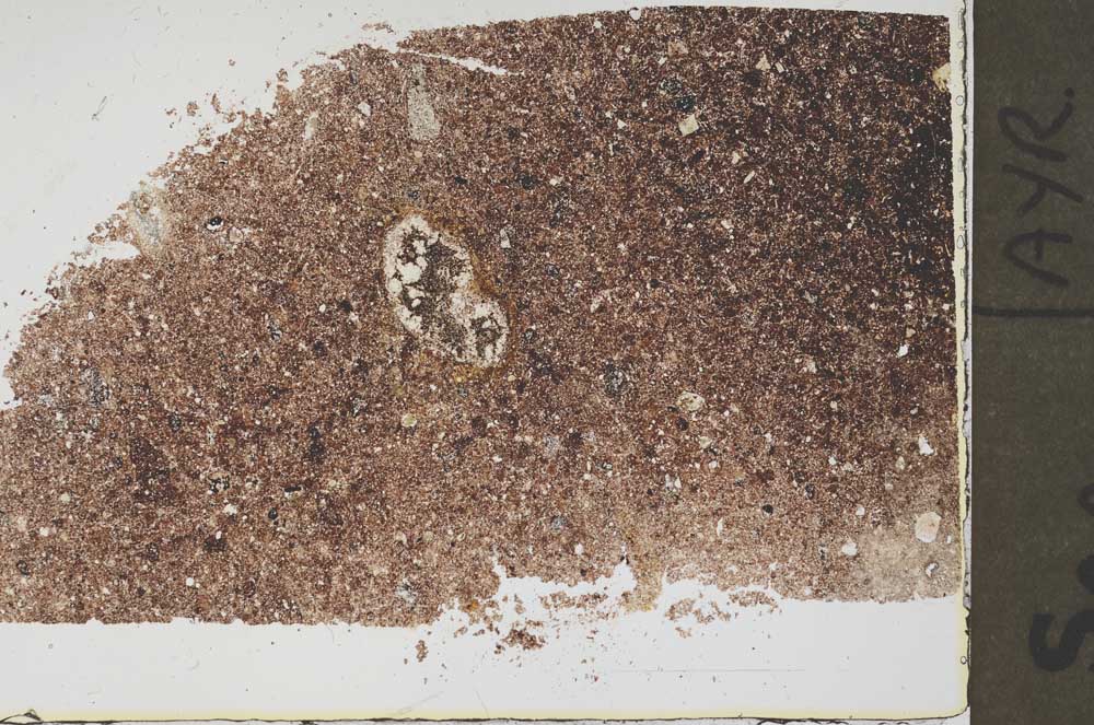 Plane Polarized, S57400