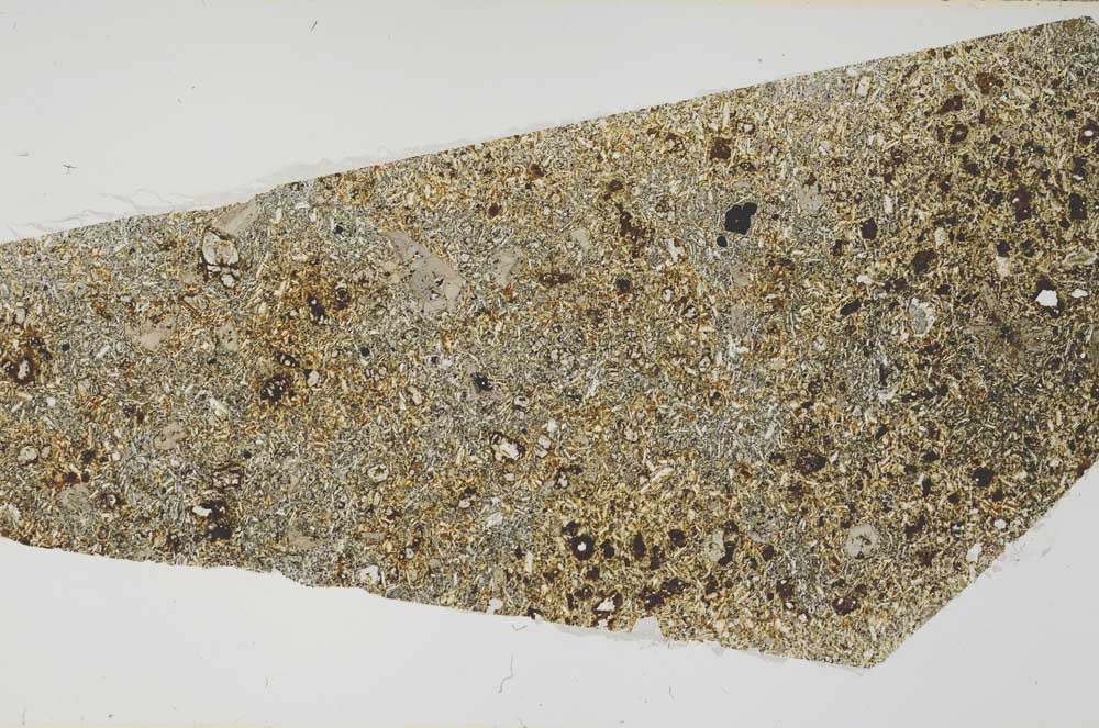 Plane Polarized, S57401