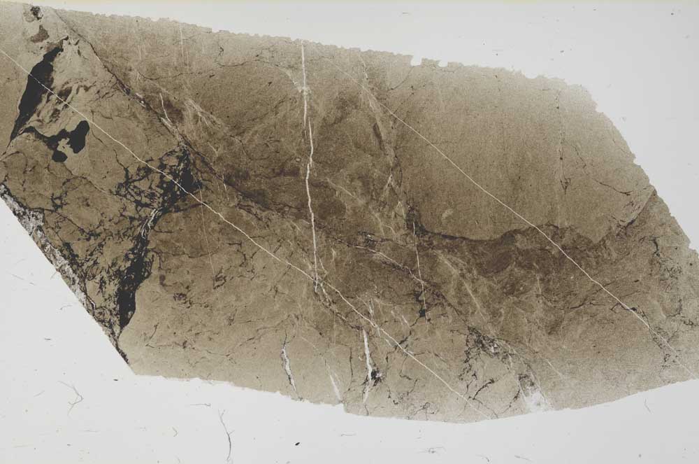 Plane Polarized, S57480