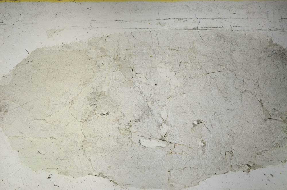 Plane Polarized, S57531