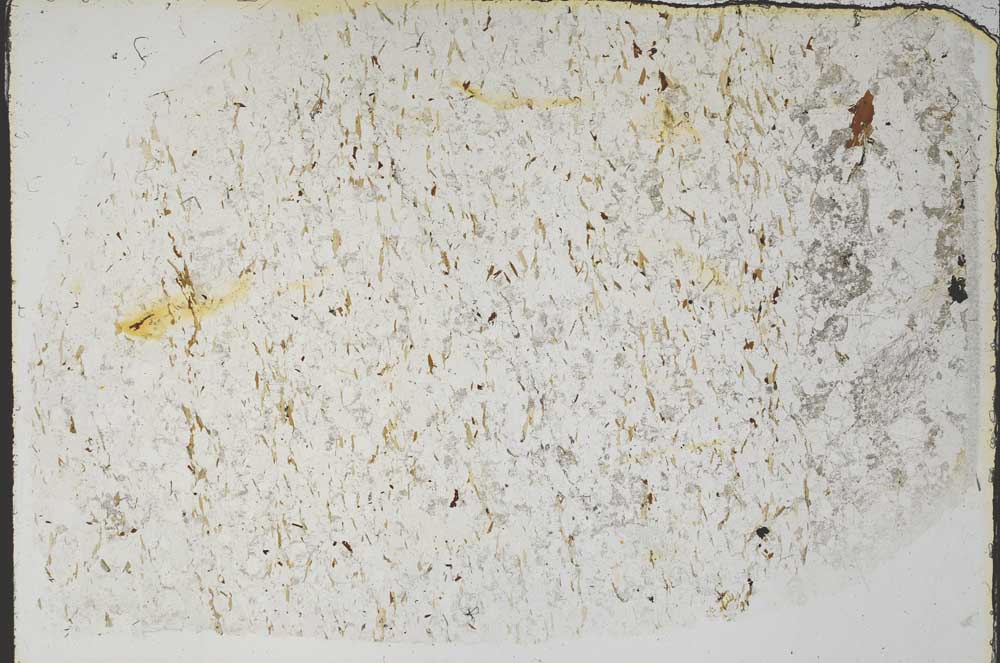 Plane Polarized, S57537