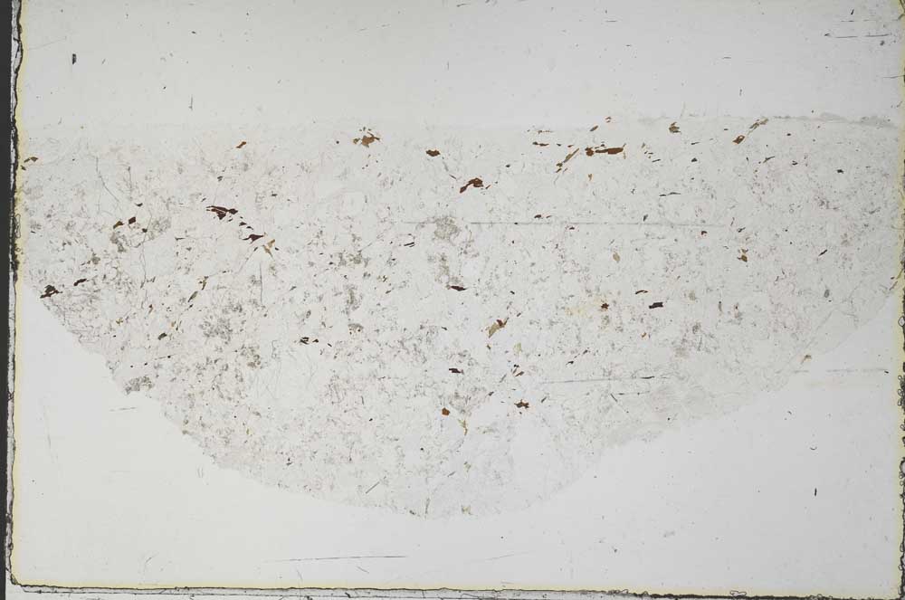 Plane Polarized, S57539