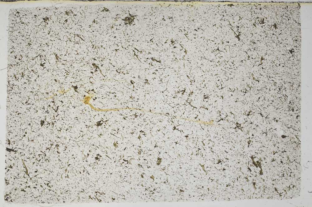 Plane Polarized, S57540