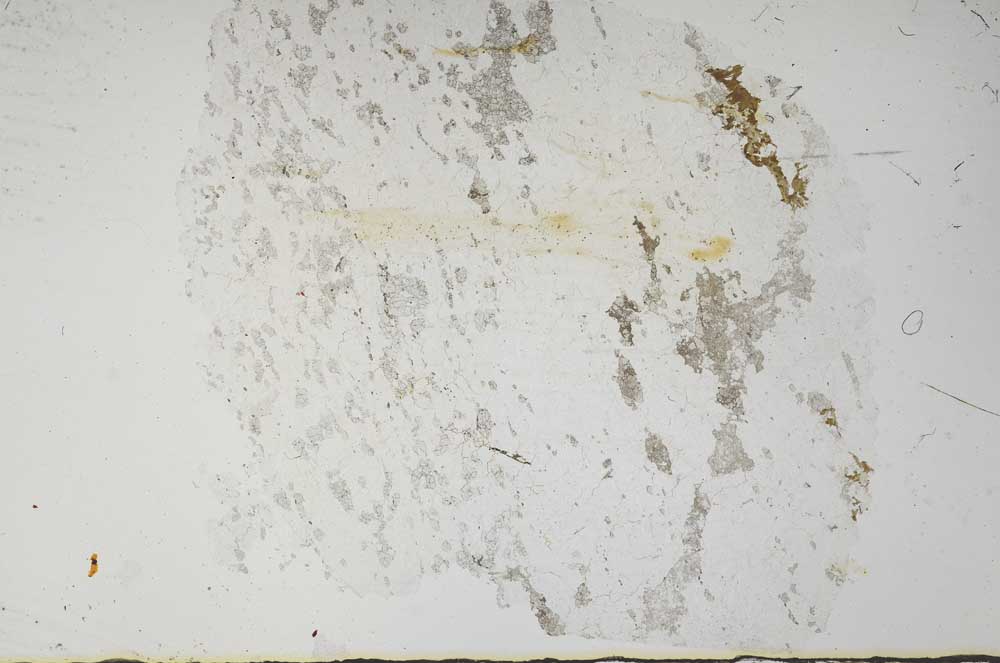 Plane Polarized, S57544