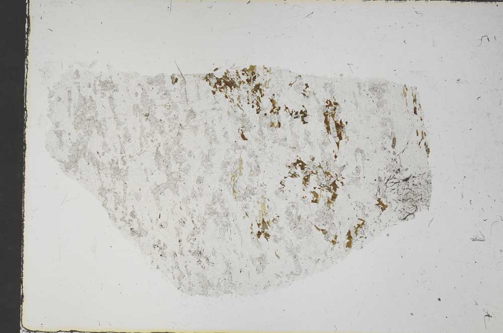 Plane Polarized, S57547