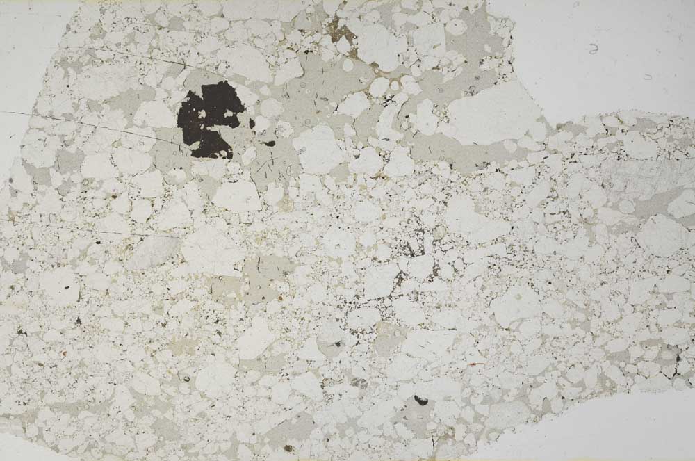 Plane Polarized, S57560