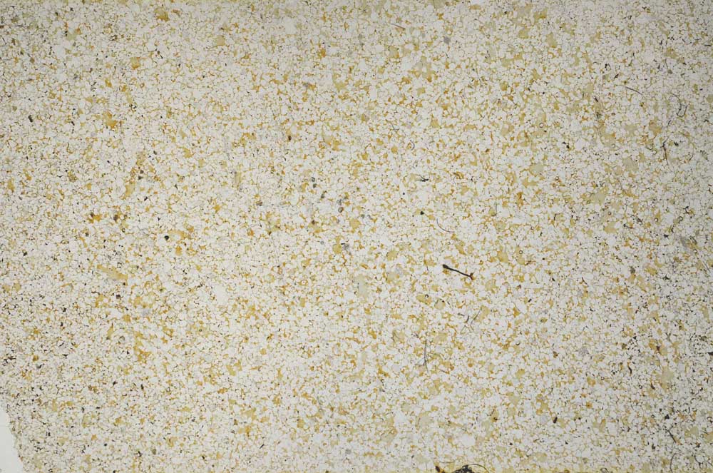 Plane Polarized, S57570