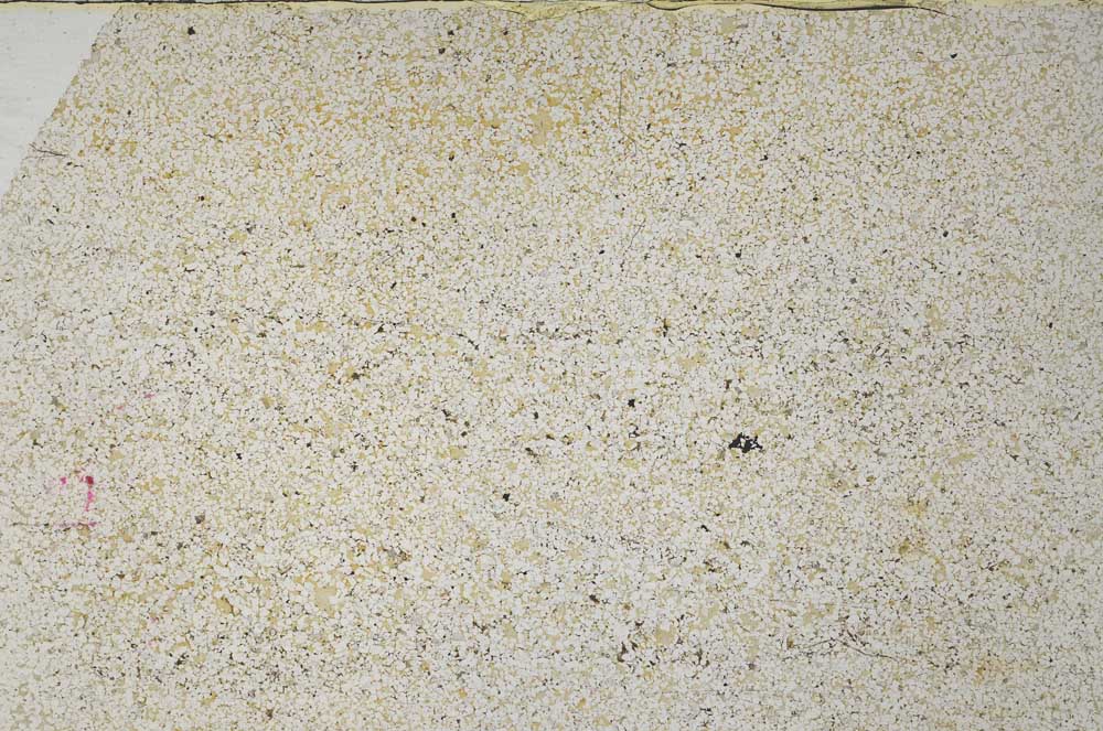 Plane Polarized, S57571
