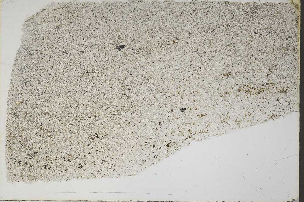 Plane Polarized, S57595