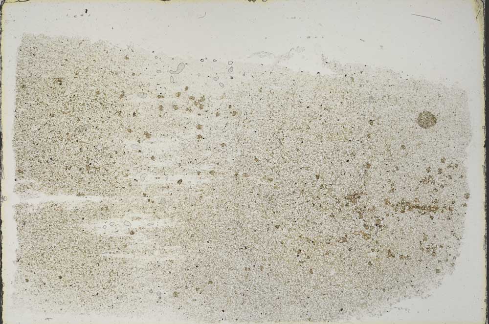 Plane Polarized, S57604