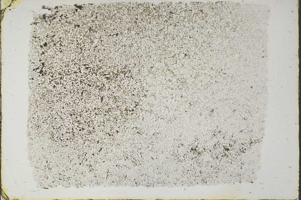 Plane Polarized, S57606