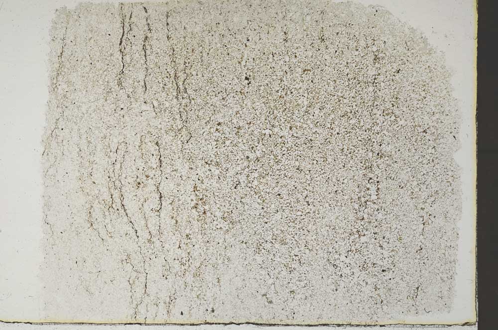 Plane Polarized, S57609