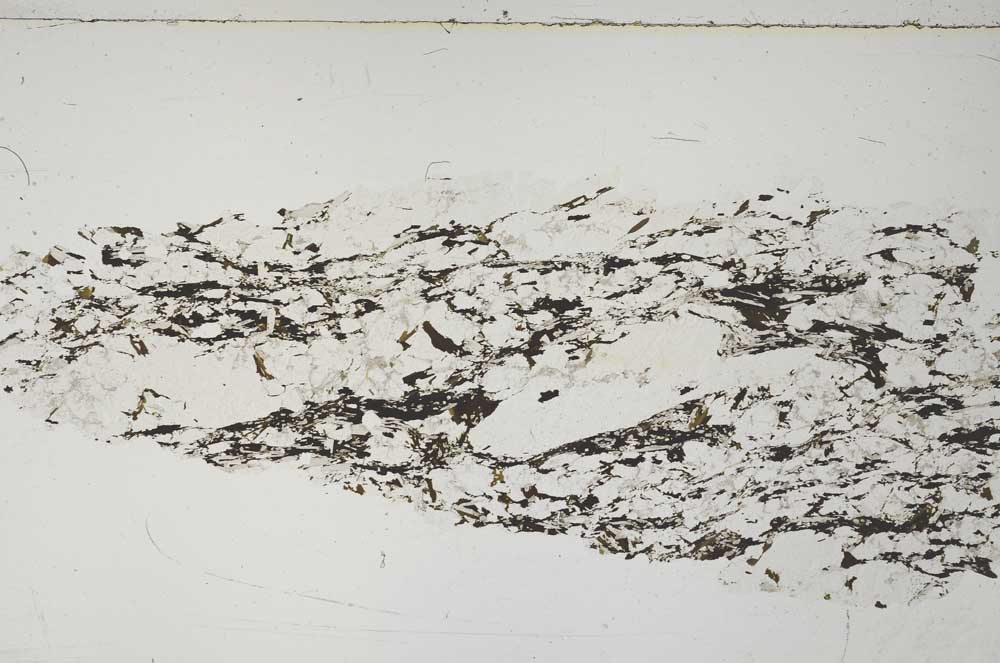 Plane Polarized, S57617