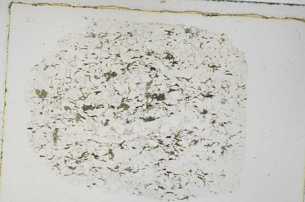 Plane Polarized, S57646