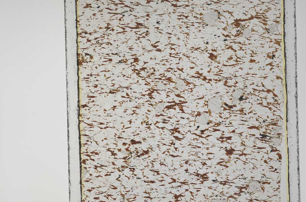 Plane Polarized, S57665