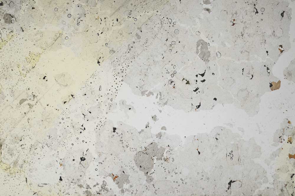 Plane Polarized, S57694