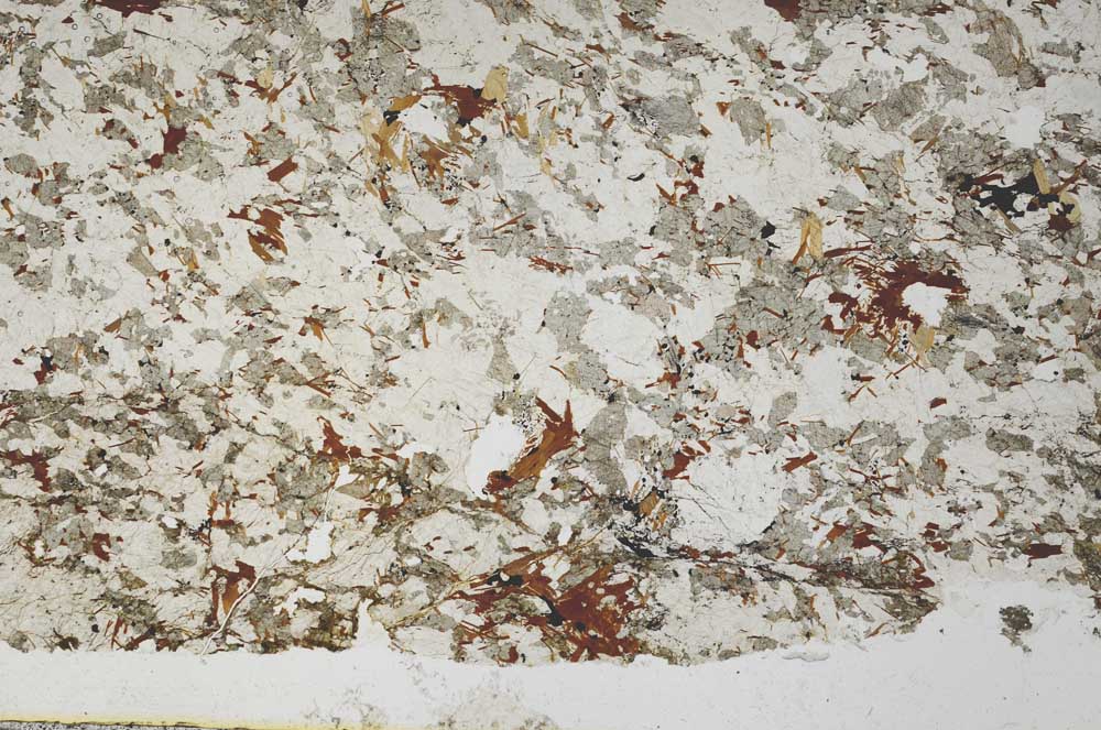 Plane Polarized, S57695