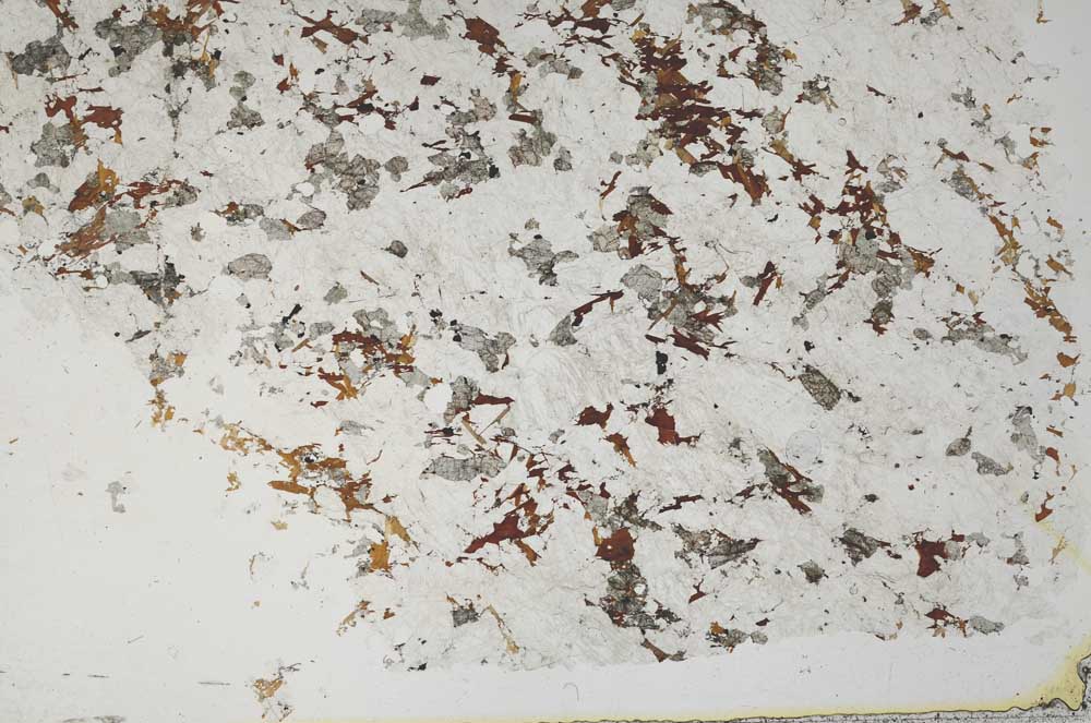 Plane Polarized, S57711