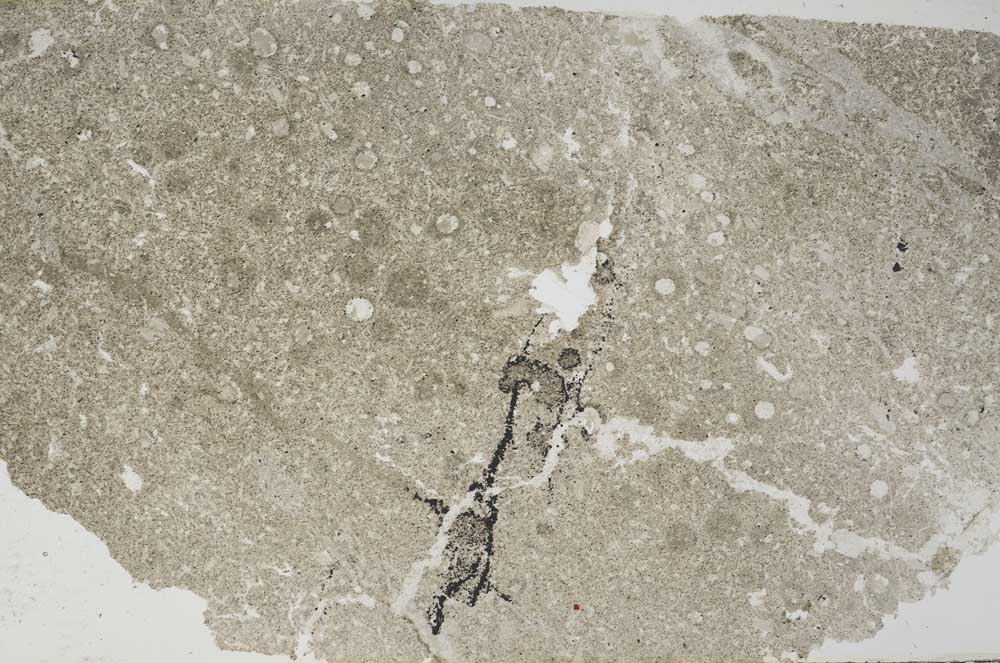 Plane Polarized, S57729
