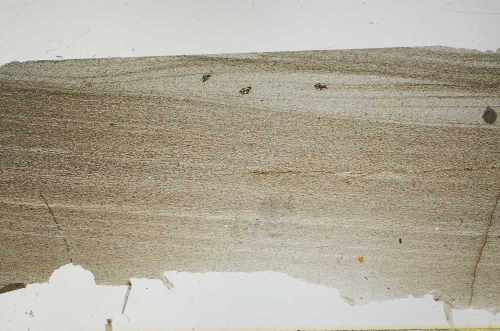 Plane Polarized, S57790
