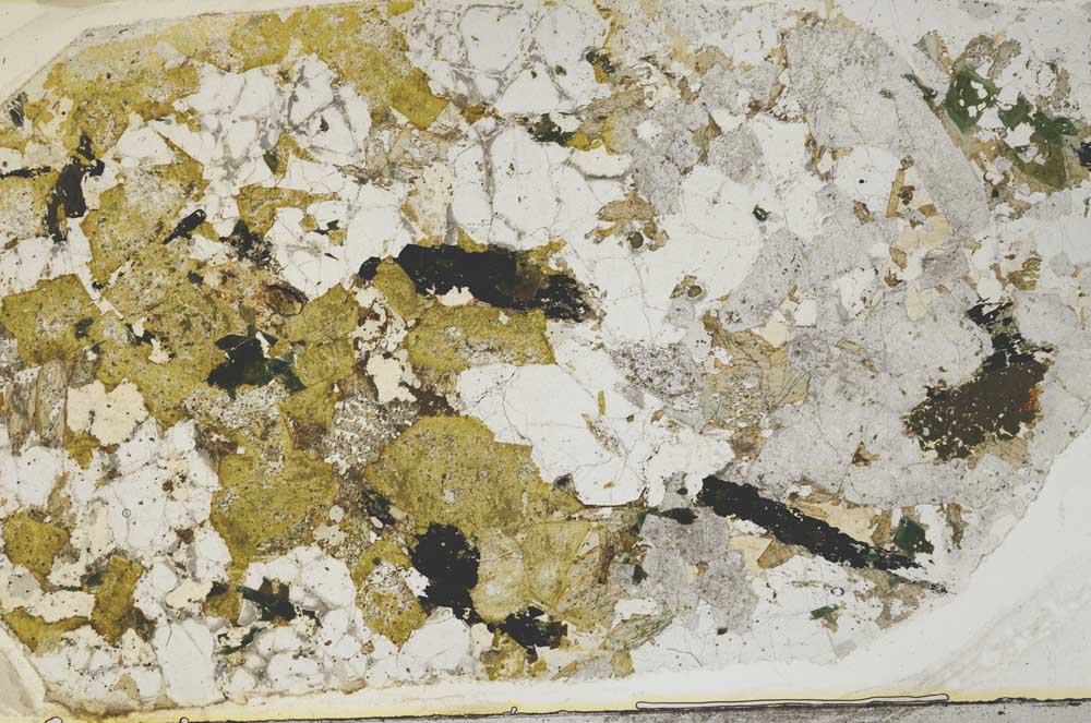 Plane Polarized, S57799