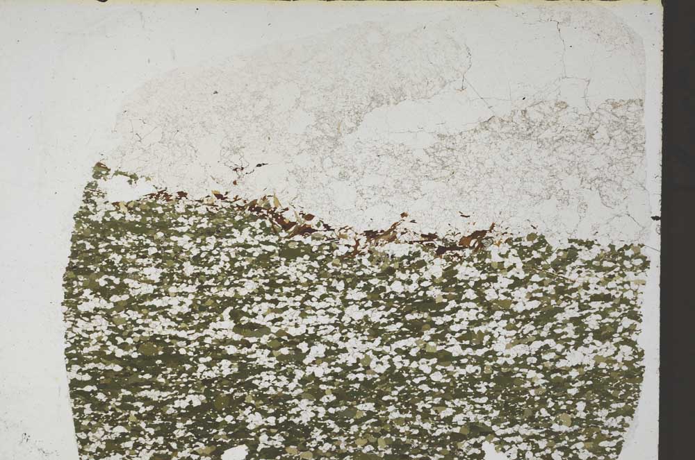 Plane Polarized, S57844
