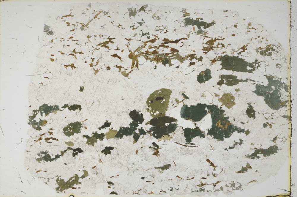 Plane Polarized, S57851