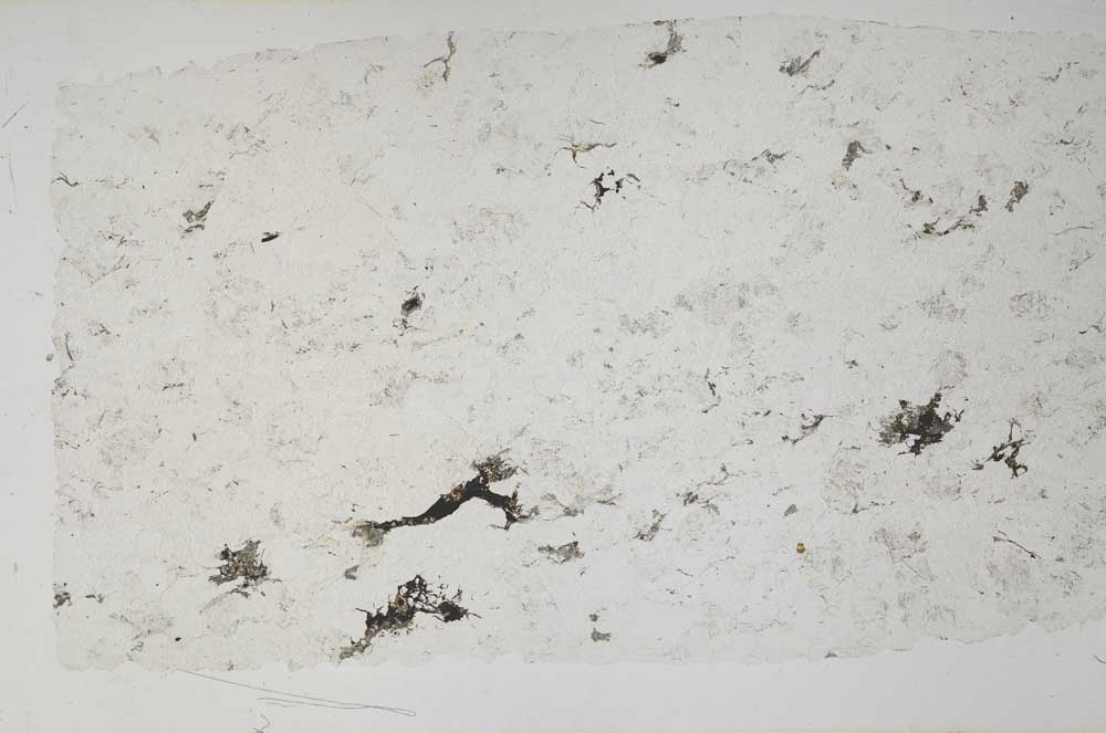 Plane Polarized, S57900