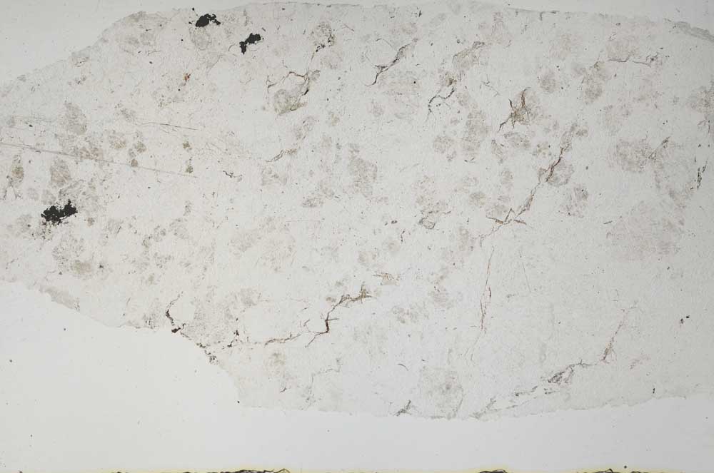 Plane Polarized, S57903