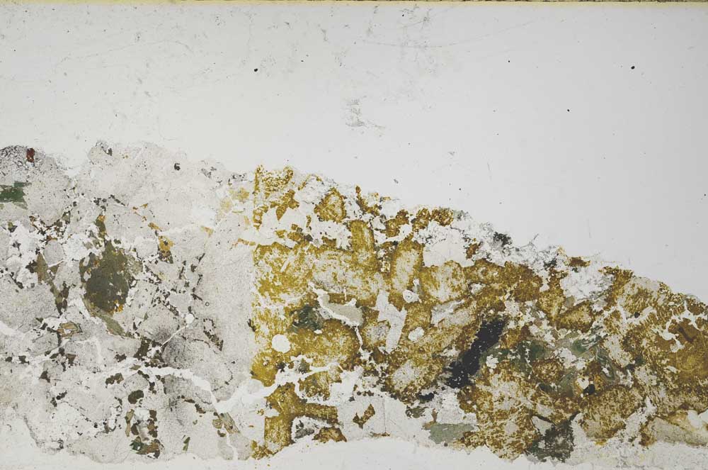 Plane Polarized, S57920