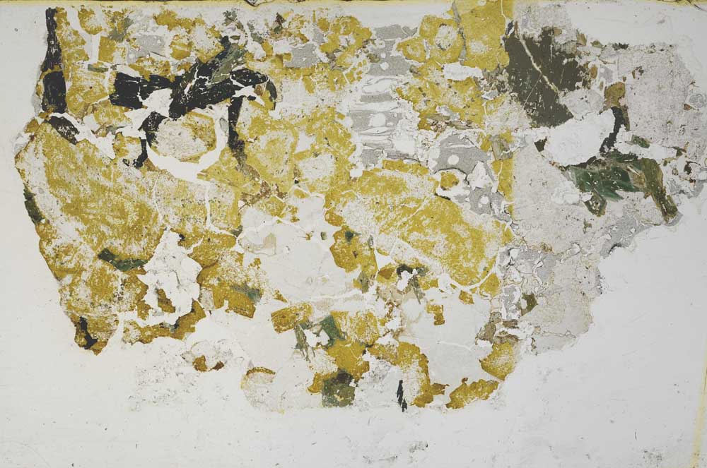 Plane Polarized, S57926