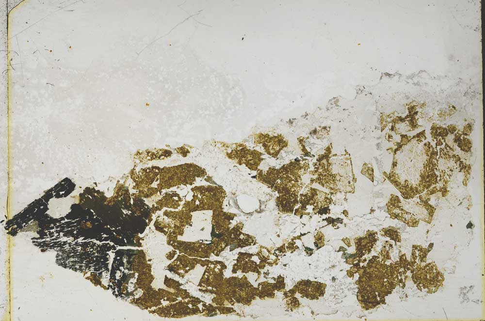 Plane Polarized, S57932/A