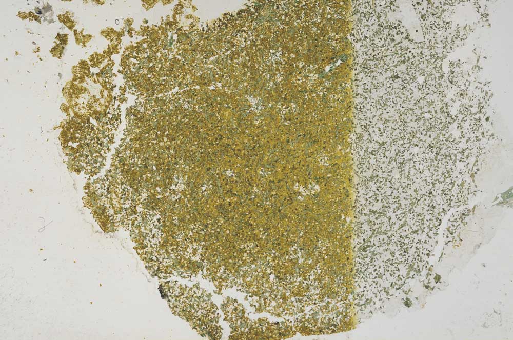 Plane Polarized, S57934