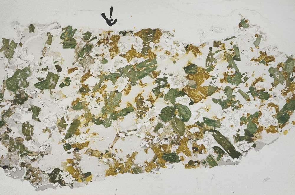 Plane Polarized, S57939/A