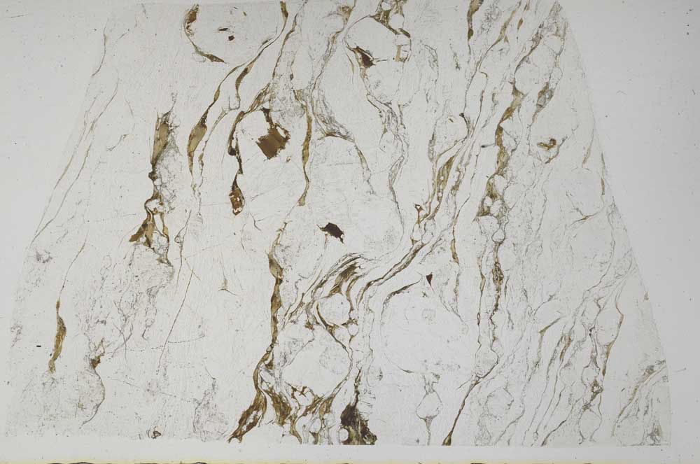 Plane Polarized, S57976