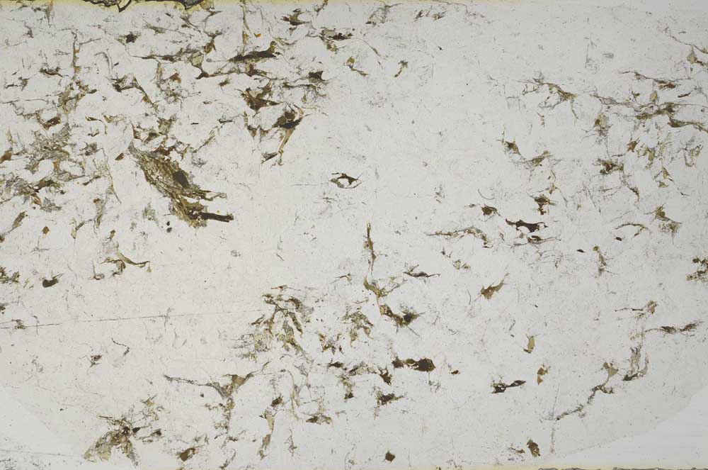 Plane Polarized, S57992