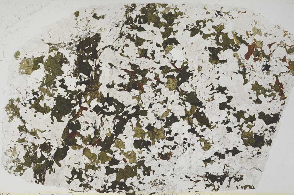 Plane Polarized, S58029