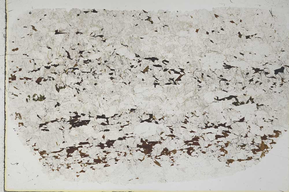 Plane Polarized, S58031